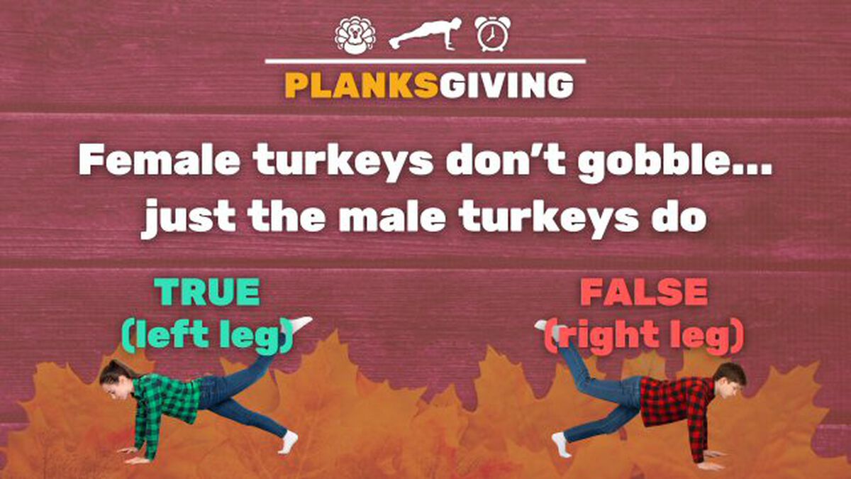 PLANKSGIVING! image number null